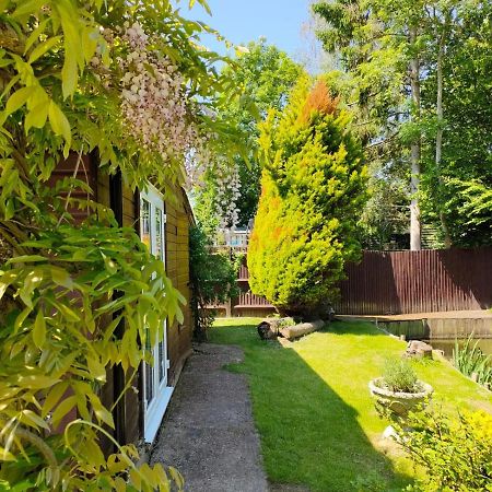 Woodies Peasmarsh Dış mekan fotoğraf