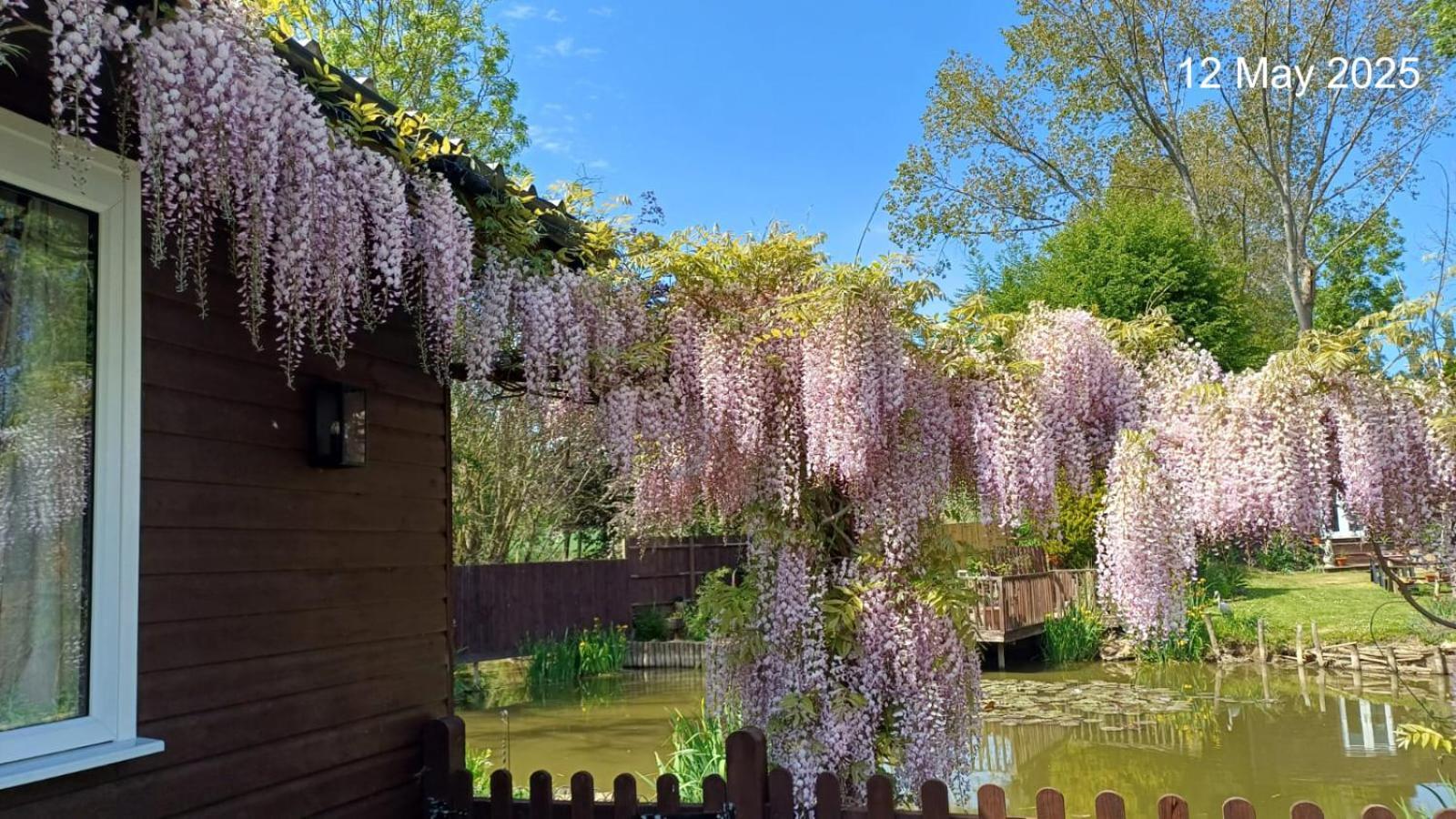 Woodies Peasmarsh Dış mekan fotoğraf