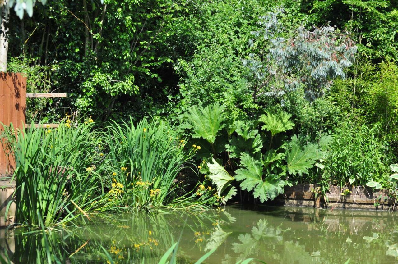 Woodies Peasmarsh Dış mekan fotoğraf